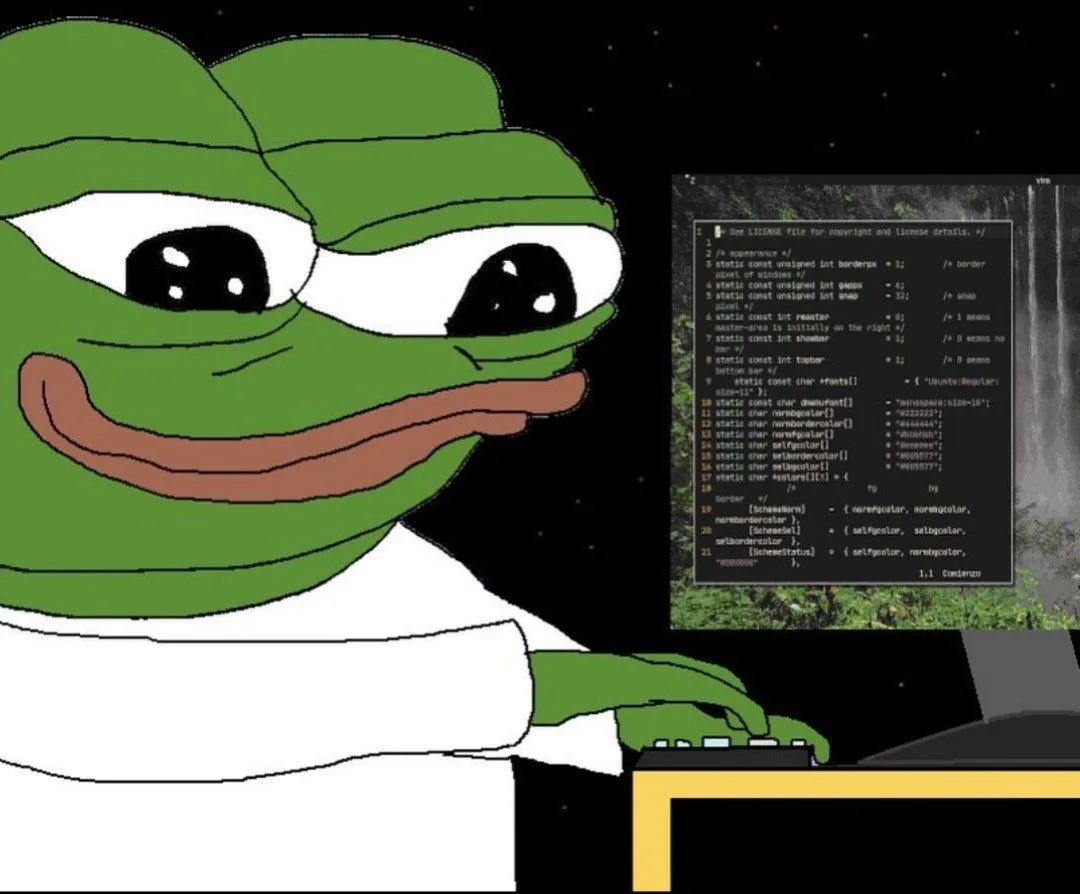 pepe the frog typing on his PC, with vim open on his screen, likely editing a C file.