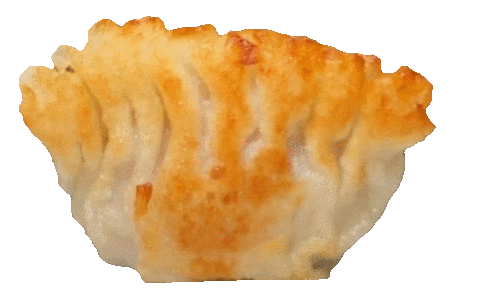 a gif of a rotating dumpling