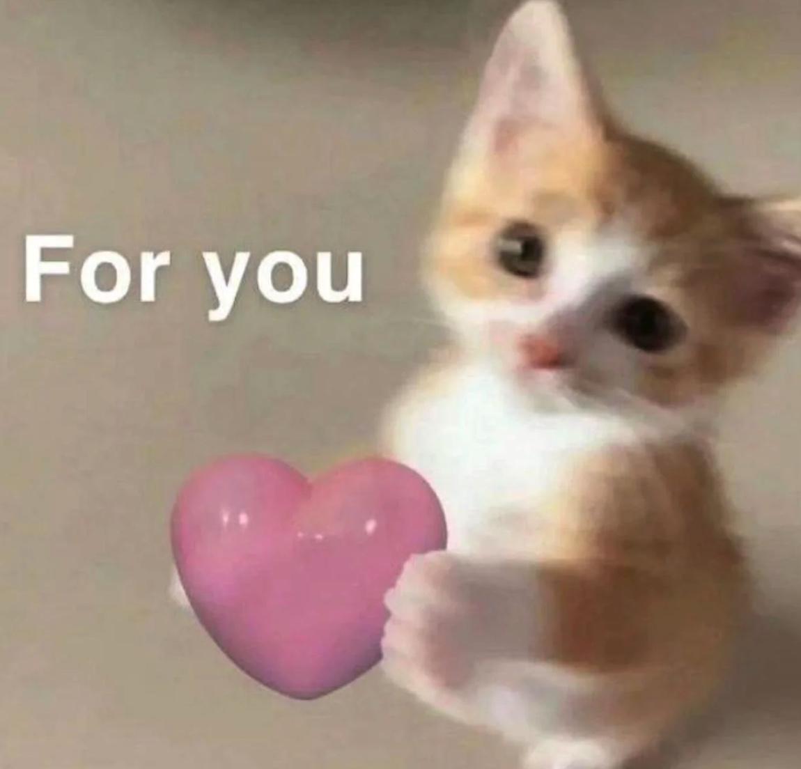 A kitten holding a pink heart. there is the text "For you" on the top left.