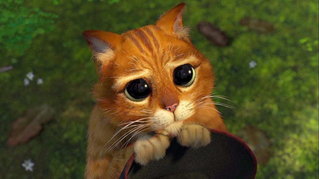 Puss-in-Boots looking at the viewer with pleading eyes.